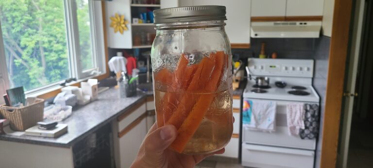 canning supplies, jar of pickled carrots